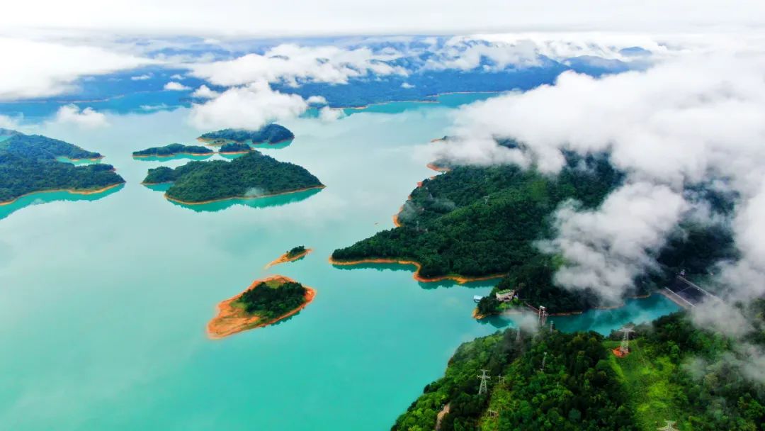 letsgo一周目攻略,letsgo图鉴攻略