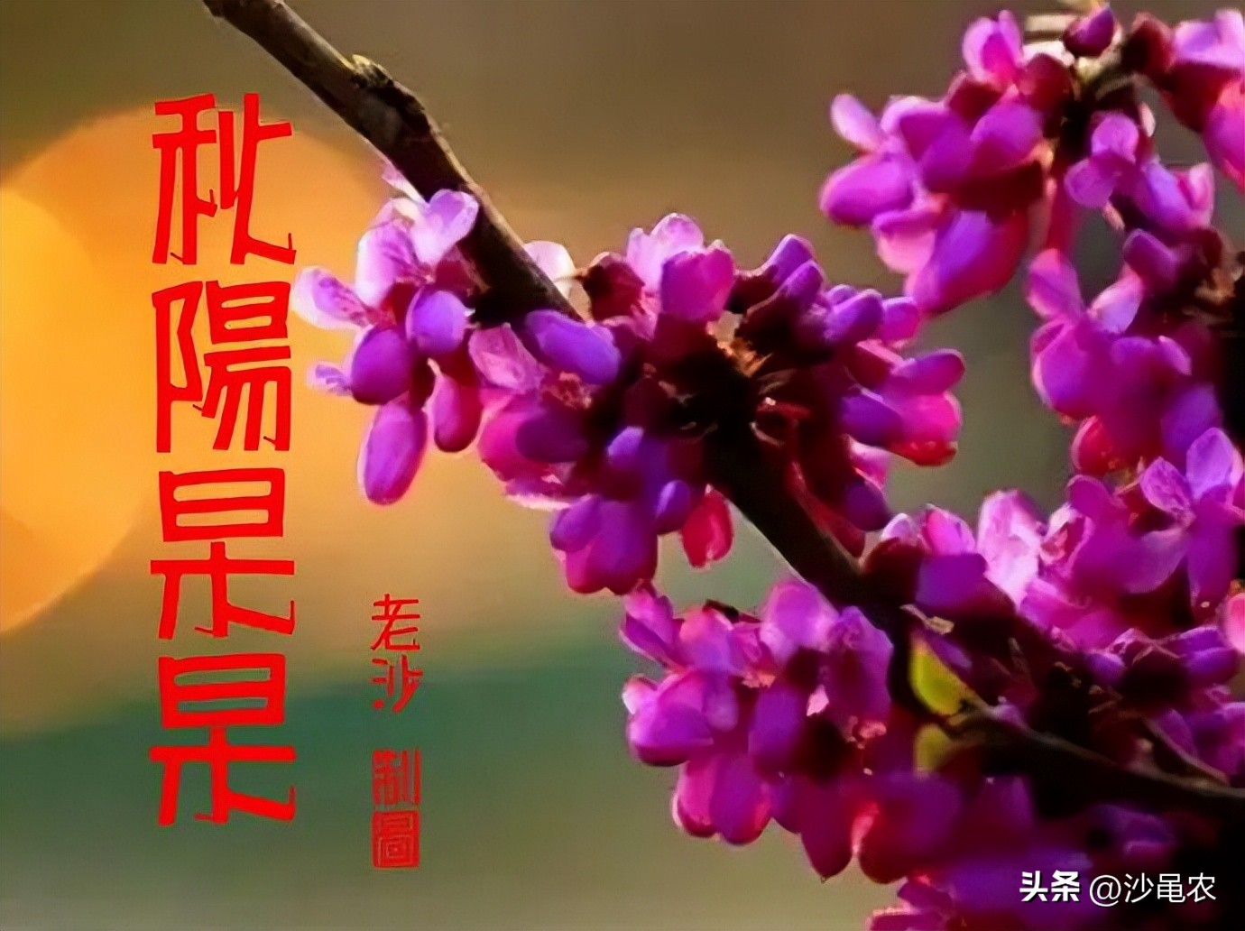 谁能决定股市当天的涨与跌,一看分时就知道近期的股市走势