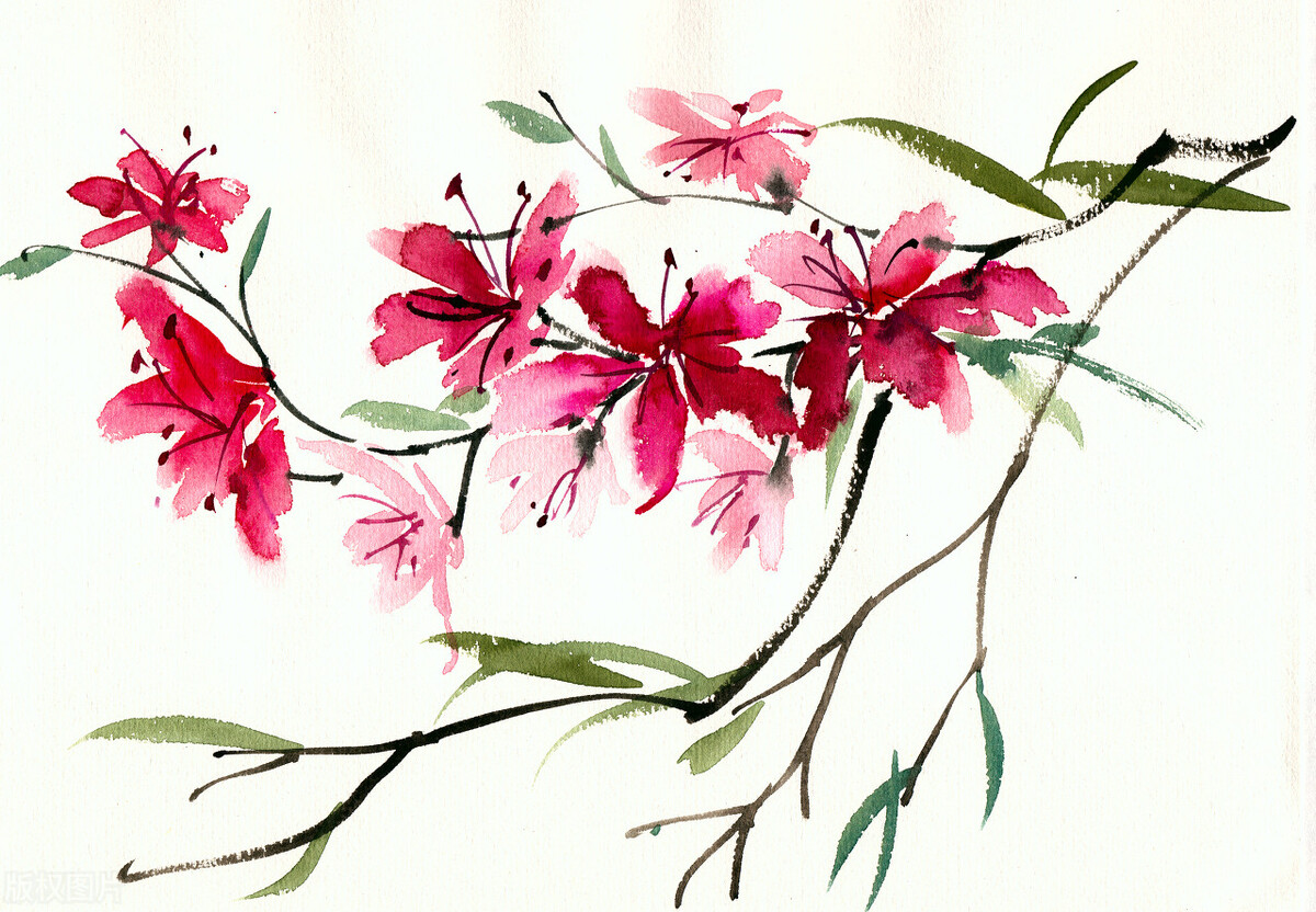 34条简短的一句话个性签名短句,个性签名哲理精辟简短句子