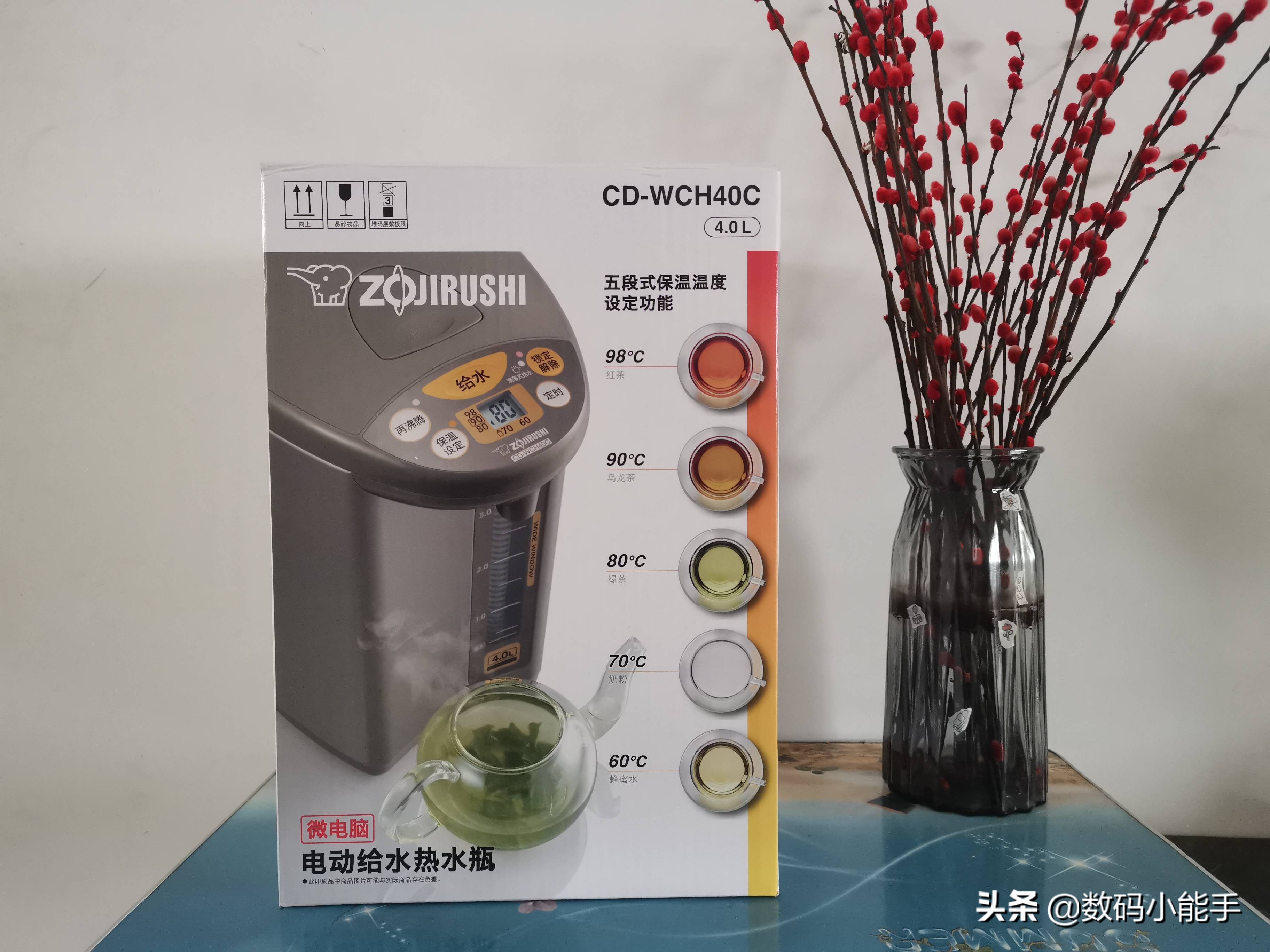 象印控温电热水壶,象印热水壶wch与wdh有何区别