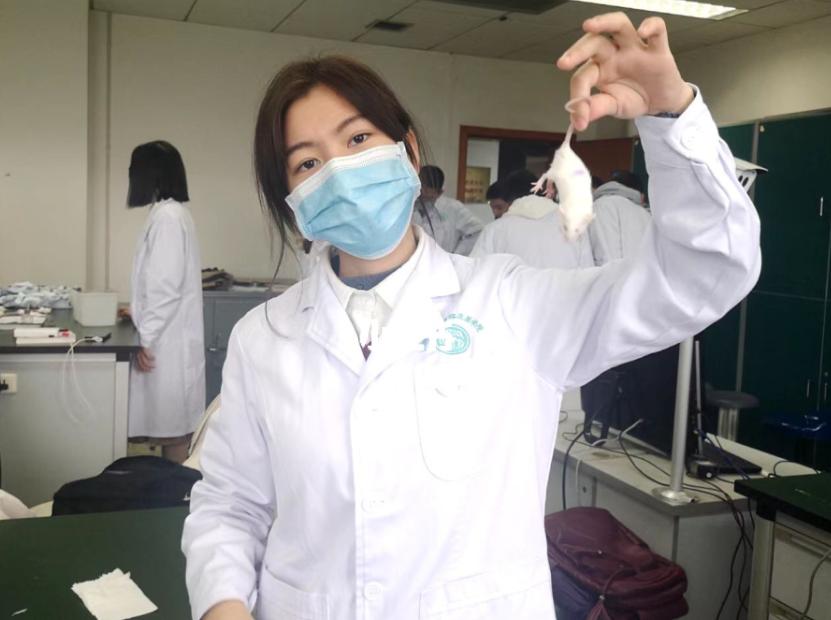 学医有哪些好的一本院校,医学院哪个最好