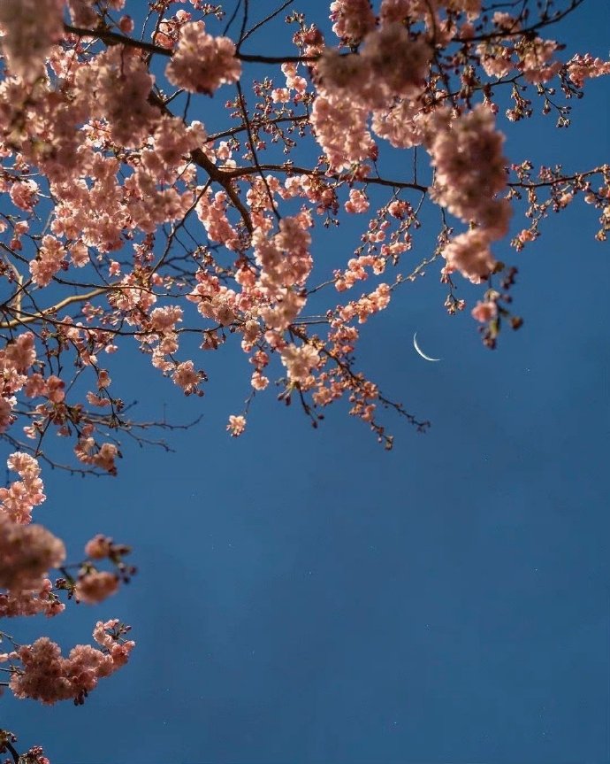 真正有福气的人都有以下几个特征,有福气的人身上往往有这四个特征