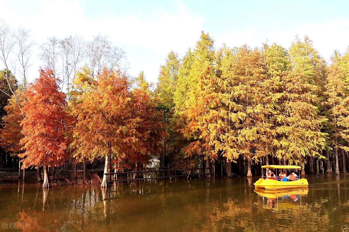 上海最新免费游玩景点推荐,上海旅游必去的五个免费景点