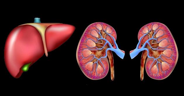 肝阳上亢引起的血压高可以治愈吗,肝阳上亢型高血压容易中风吗