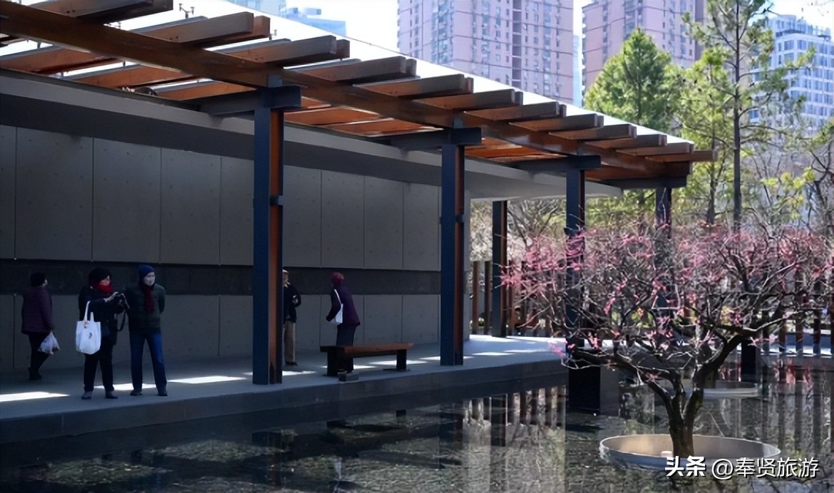 赏梅胜地梅园,赏梅好时节