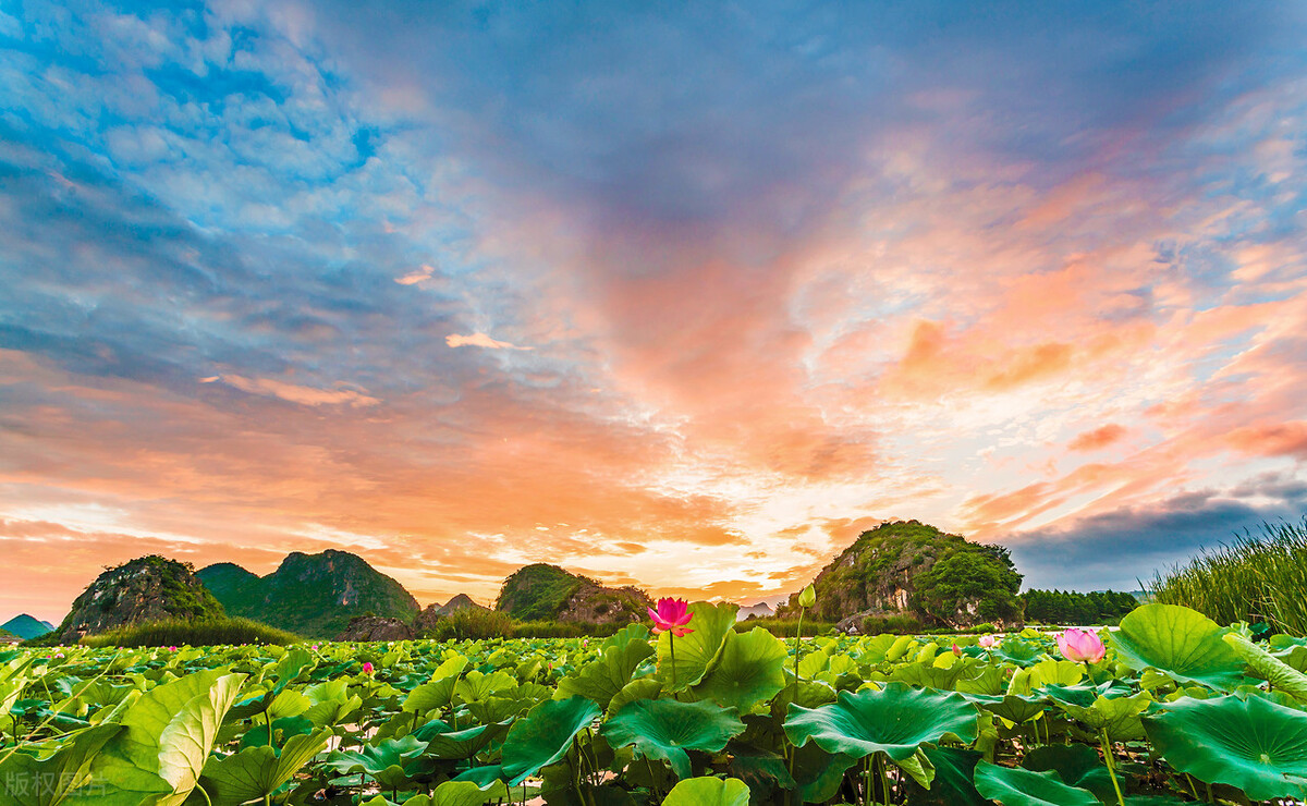 普者黑有哪些风景点,普者黑山水美如画