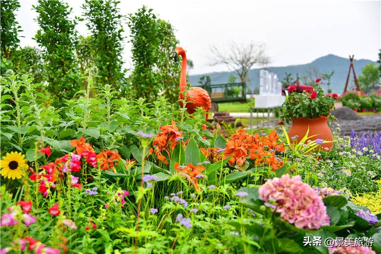 佛山旅游景点攻略,佛山森林公园游玩攻略