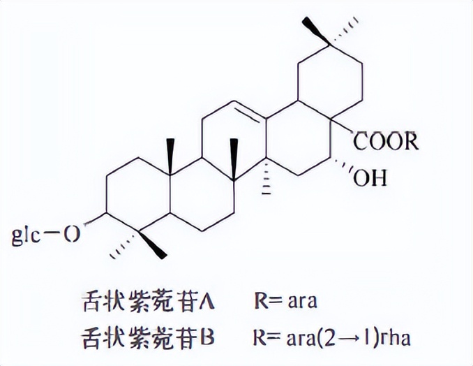 哪些植物含有三萜成分最多,萜烯类物质对植物的功效