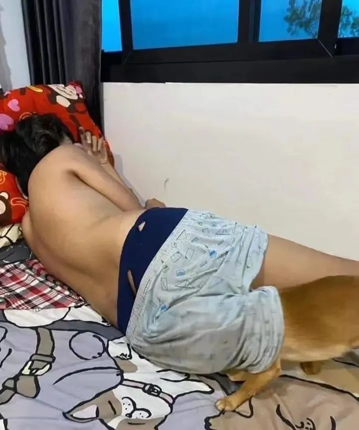 狗嘴里吐不出象牙梗,狗嘴里吐不出象牙是形容词么