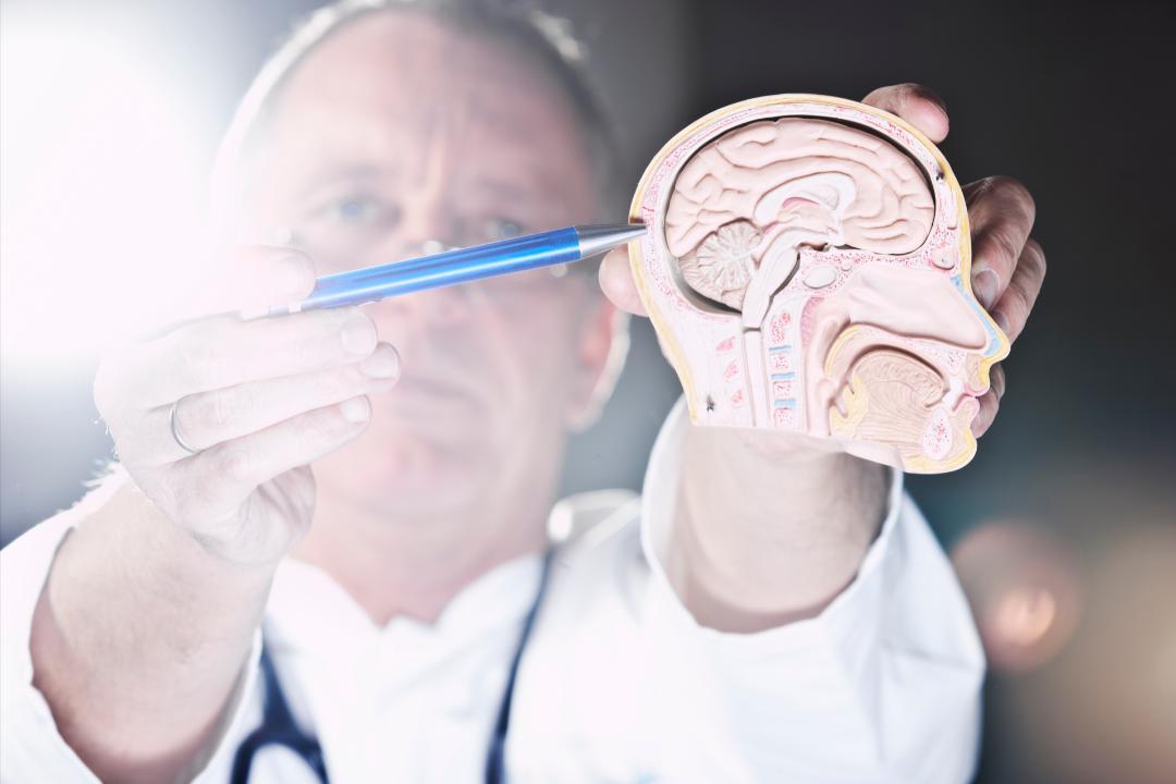 脑动静脉畸形介入手术风险,脑动静脉畸形无症状需要治疗吗