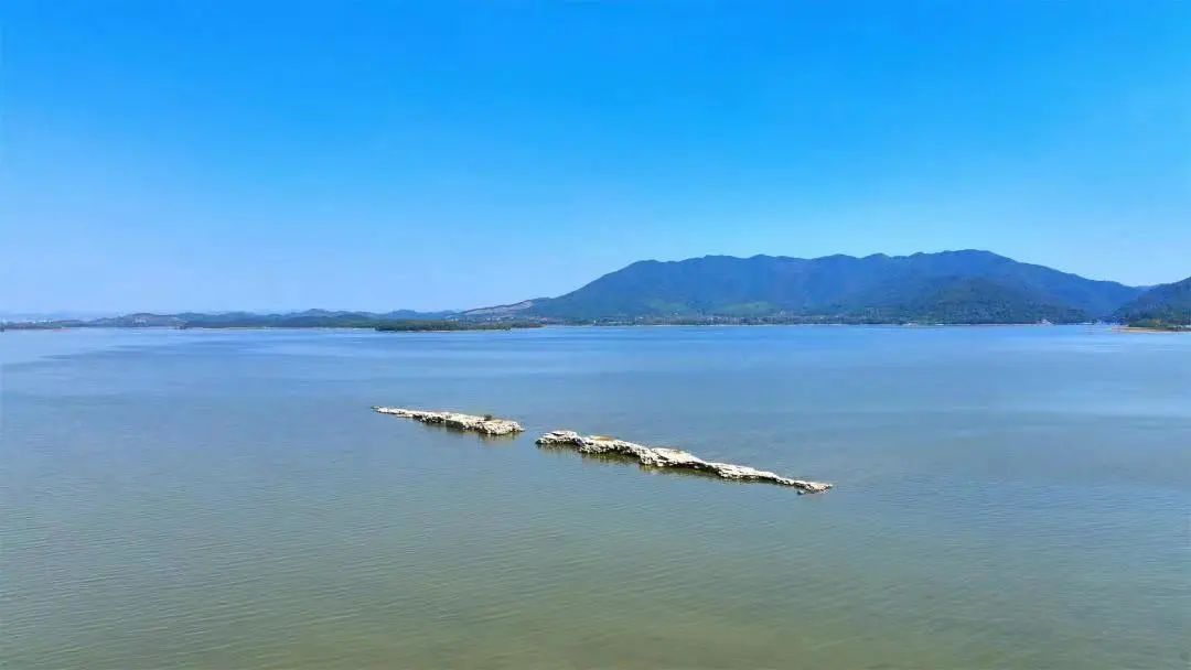 如果你要写新余，就不能只写新余