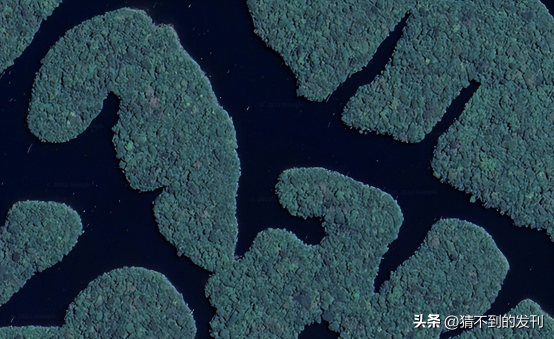 欣赏足球盛宴,世界足球之旅巴西篇