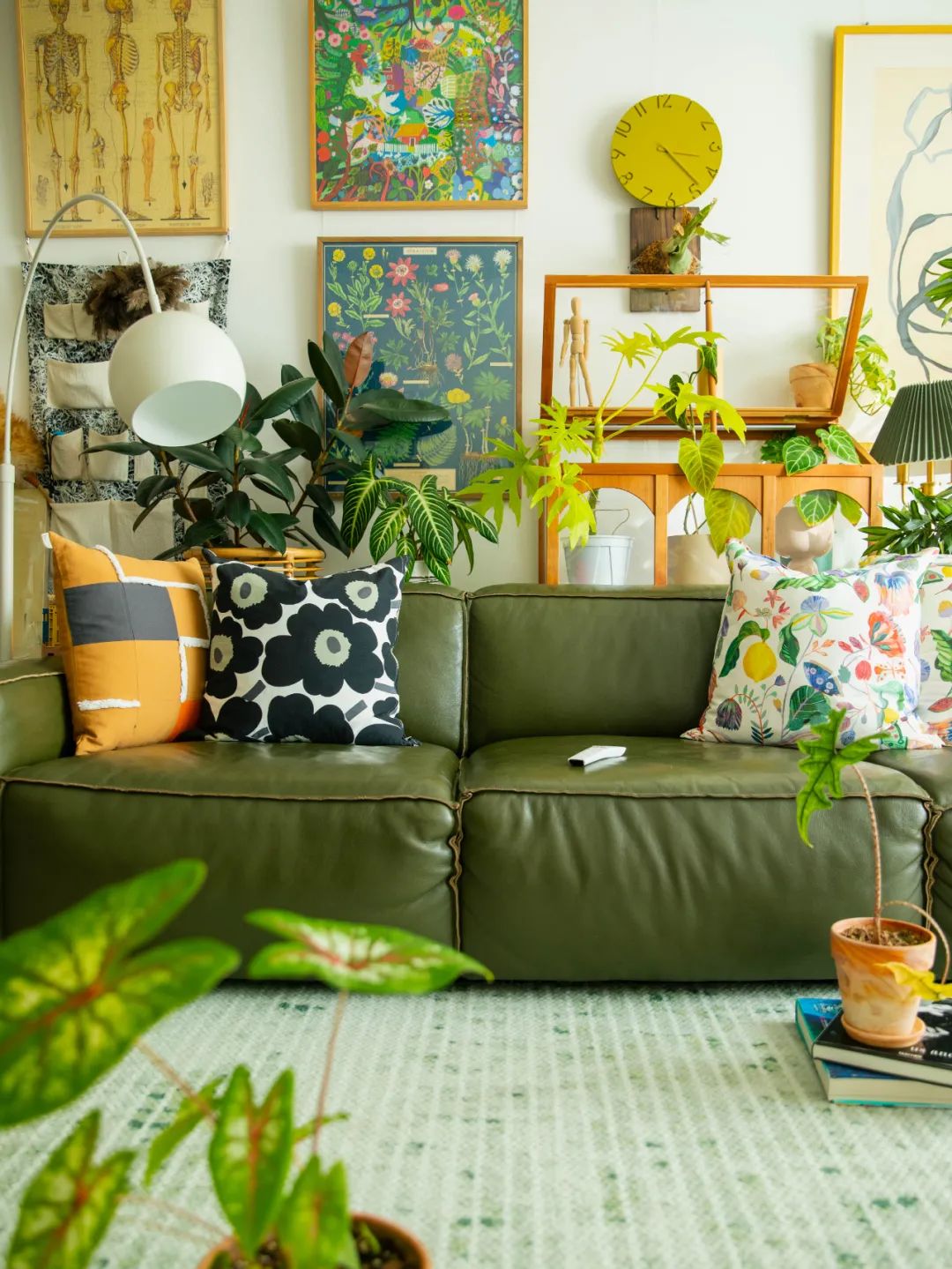 90后妈妈花3年时间,在北京打造室内“小森林”,满屋绿意