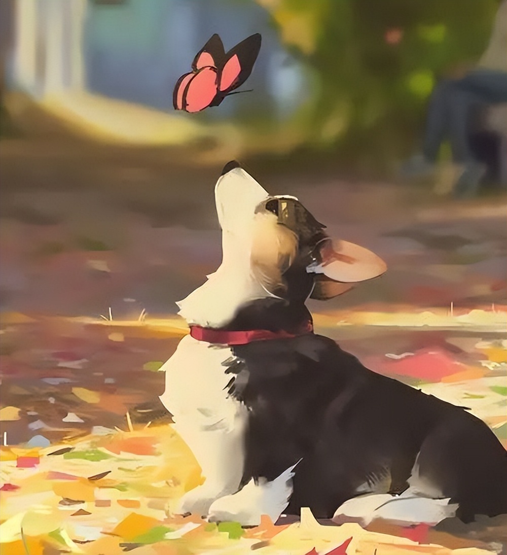 韩大米的狗生观或许可以有所借鉴