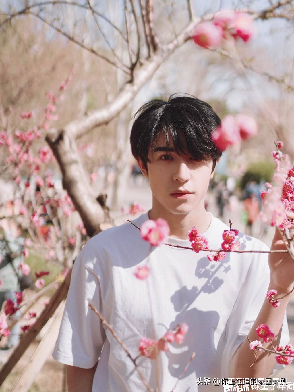 泰国双子星尹浩宇,尹浩宇桃花坞唱歌perfectnight