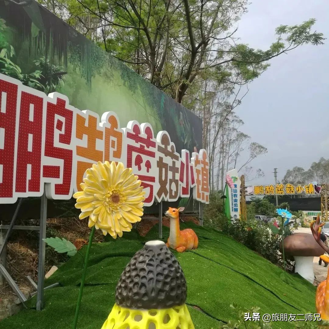 佛山去江门旅游景点推荐,佛山去江门旅游攻略