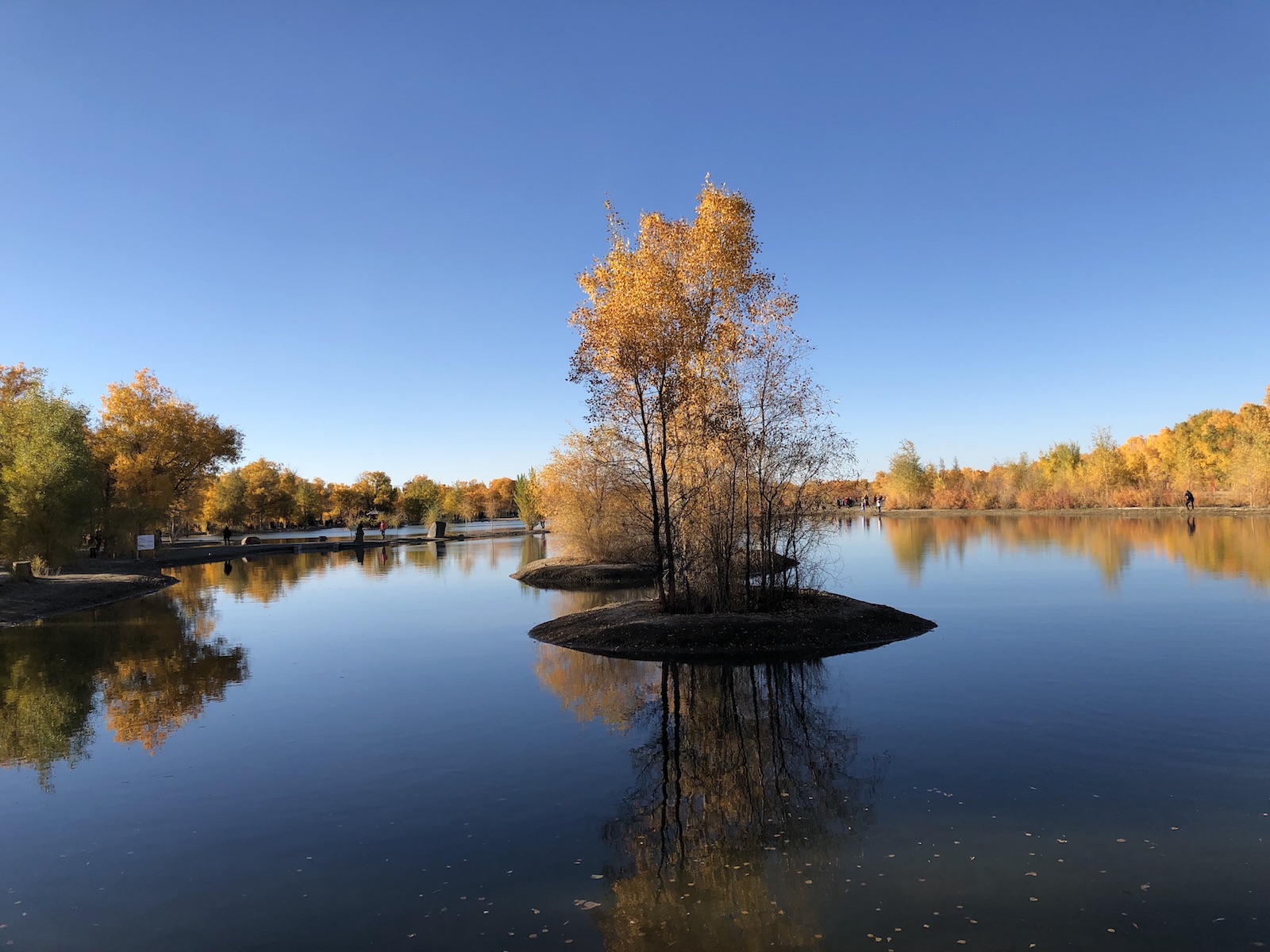北京自驾额济纳胡杨林十天攻略,从北京到额济纳胡杨林线路