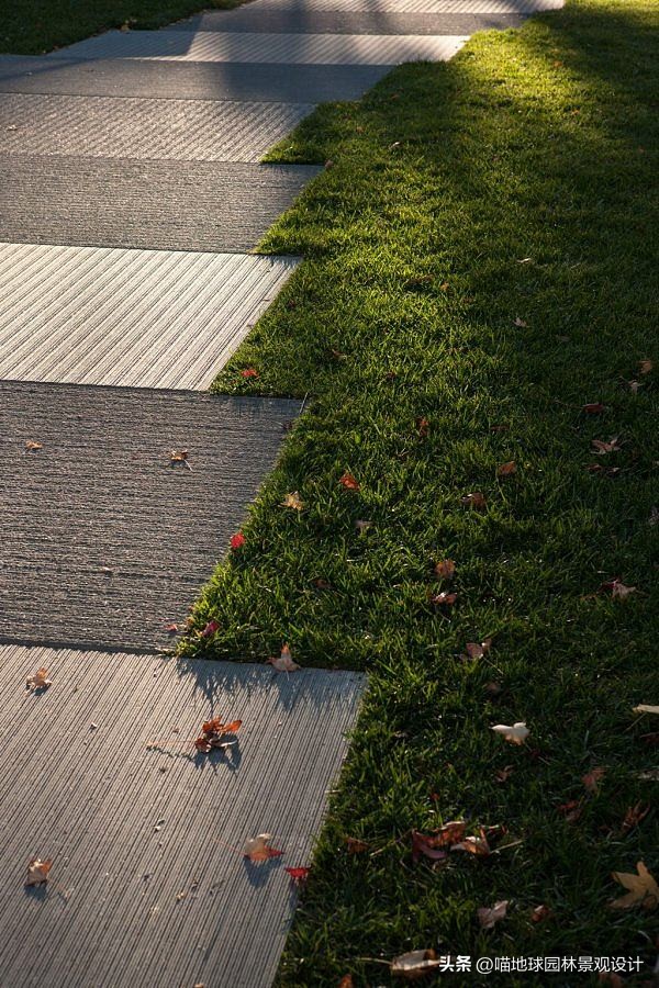 庭院景观设计和施工,北方别墅庭院绿化设计效果图大全