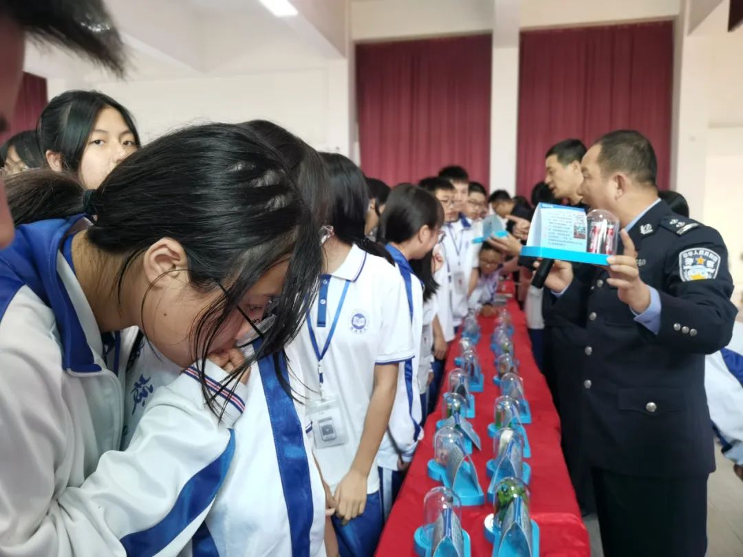 我为群众办实事普法宣传活动,我为群众办实事法治在线