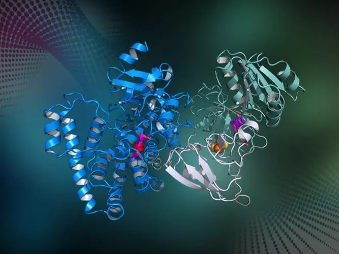 阴毛有什么用？能不能刮掉？由黑变白，意味着什么？