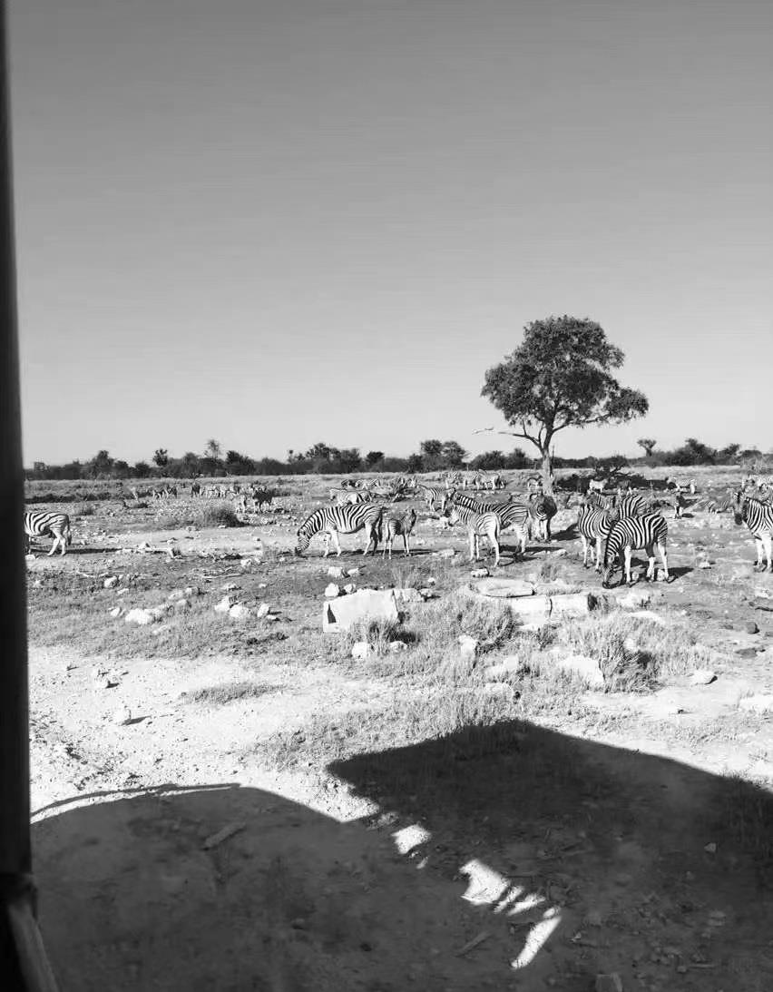 外派非洲年薪20万引热议,员工：待遇好，但国内对非洲误解多