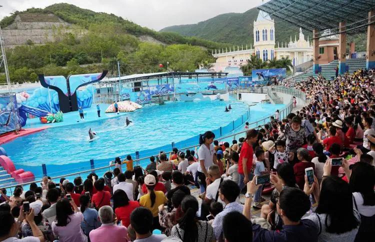 深圳小梅沙和海洋世界,深圳小梅沙海洋世界10年前