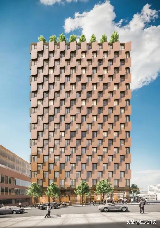 waf2023世锦赛,waf国内排名