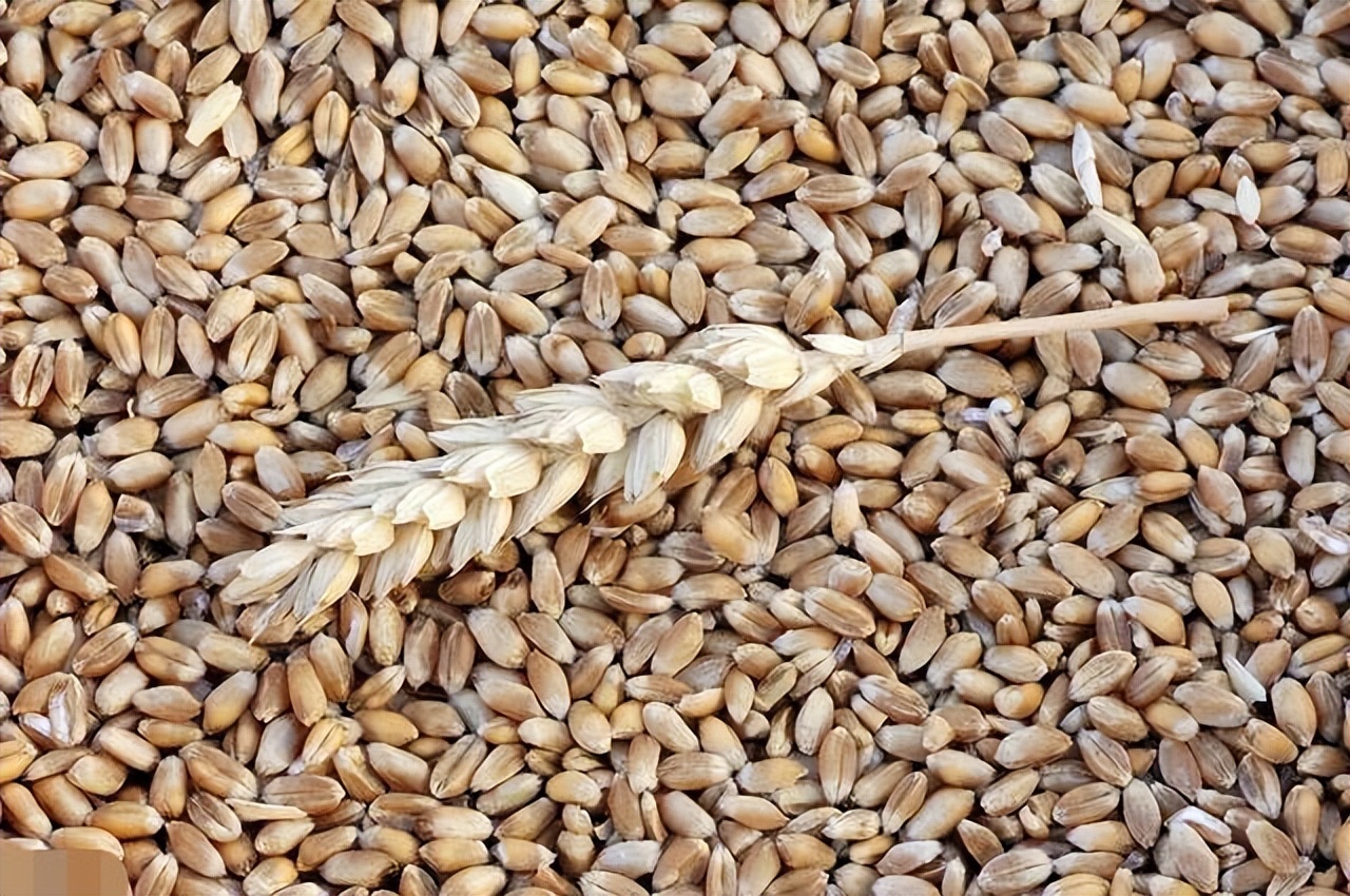 中国骄傲“大飞机C919”、大国重器“蓝鲸1号”……看了不起的山东“智”造