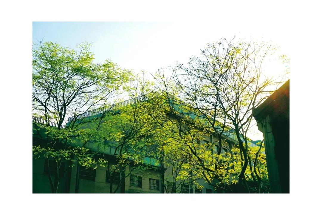 生活在杭州,生活在浙江杭州是什么体验