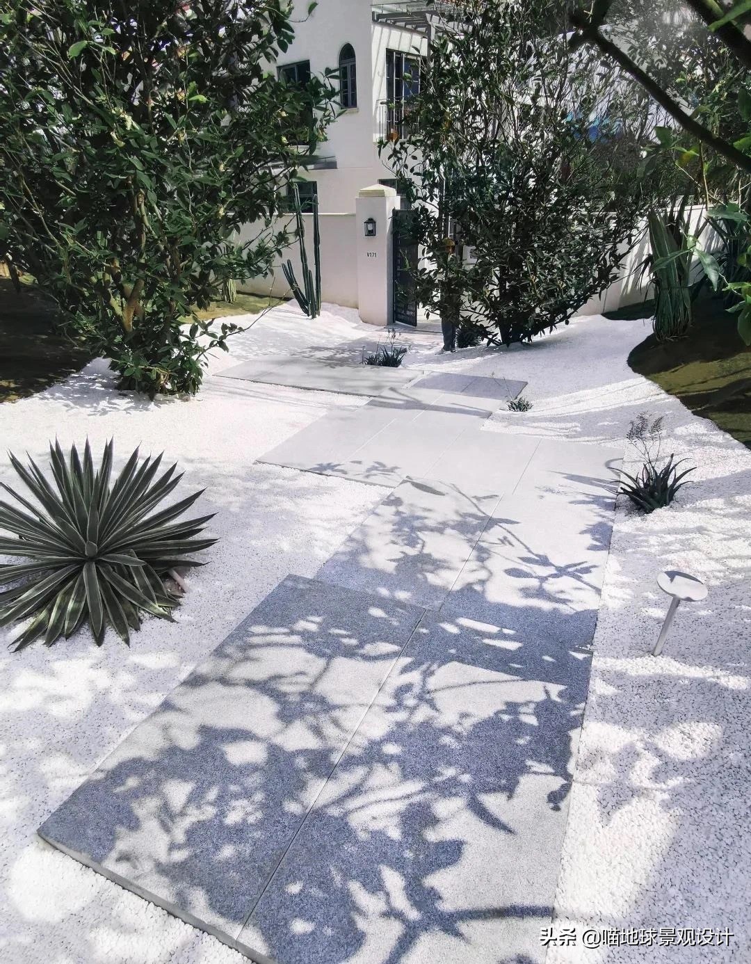 热带风情的庭院别墅,庭院大型热带风情绿植