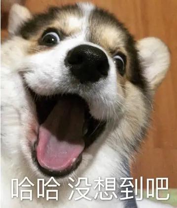 沙特2-1战胜阿根廷队是运气吗,沙特队爆冷