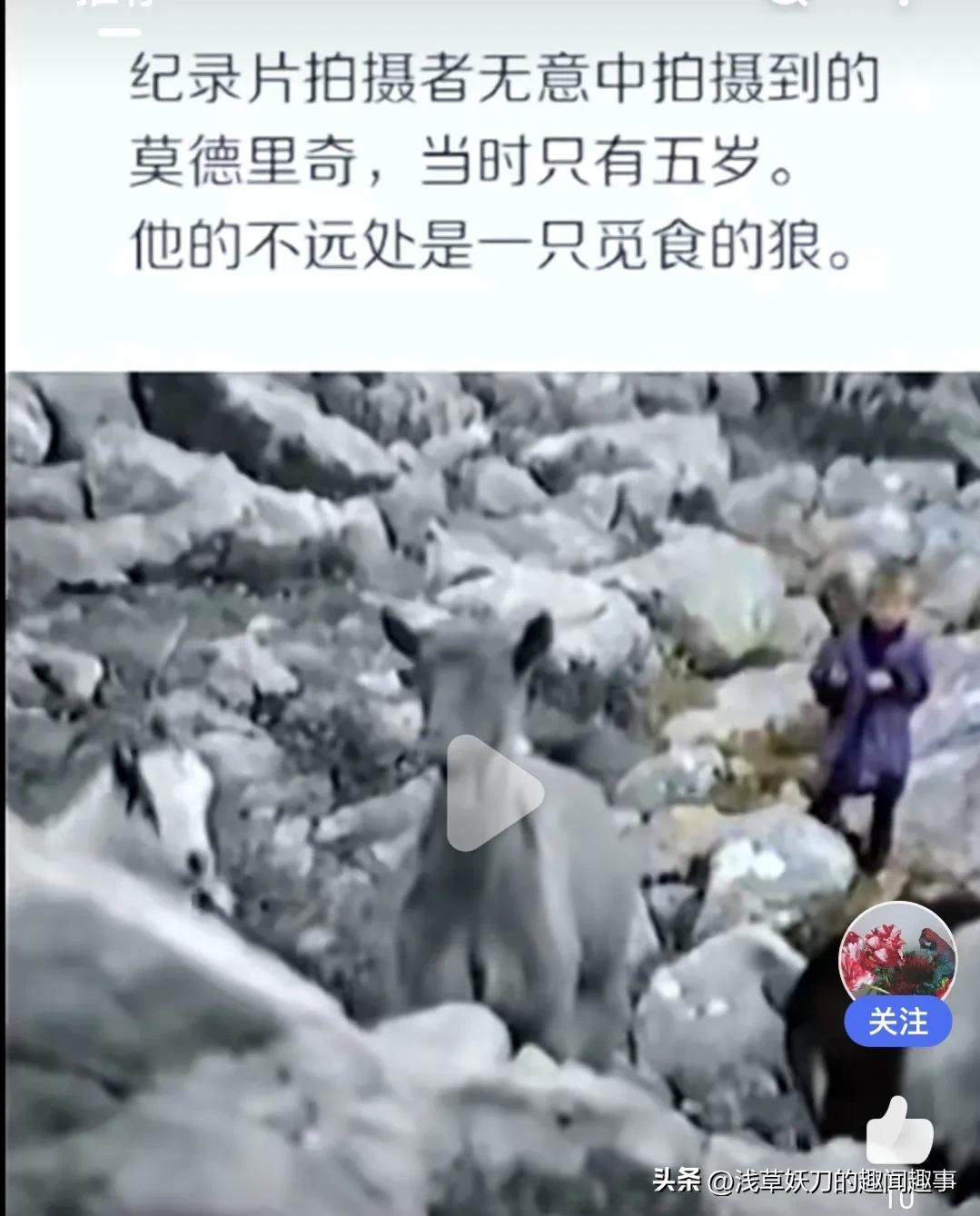 放羊男孩莫德里奇,放羊孩子莫德里奇