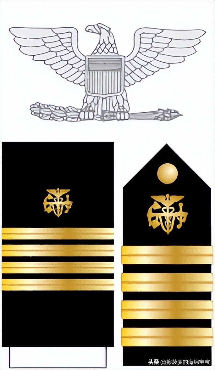 美国公共卫生服务军官团有多少人,美国医务兵地位