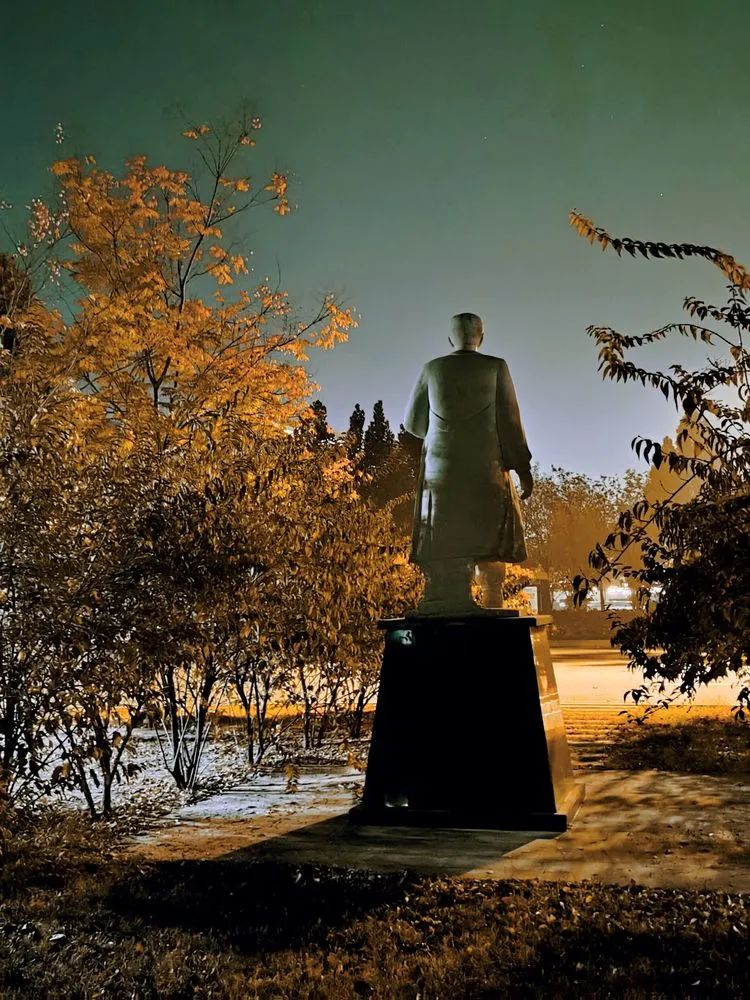 层林尽染的视频号,濮阳医专学历怎么样