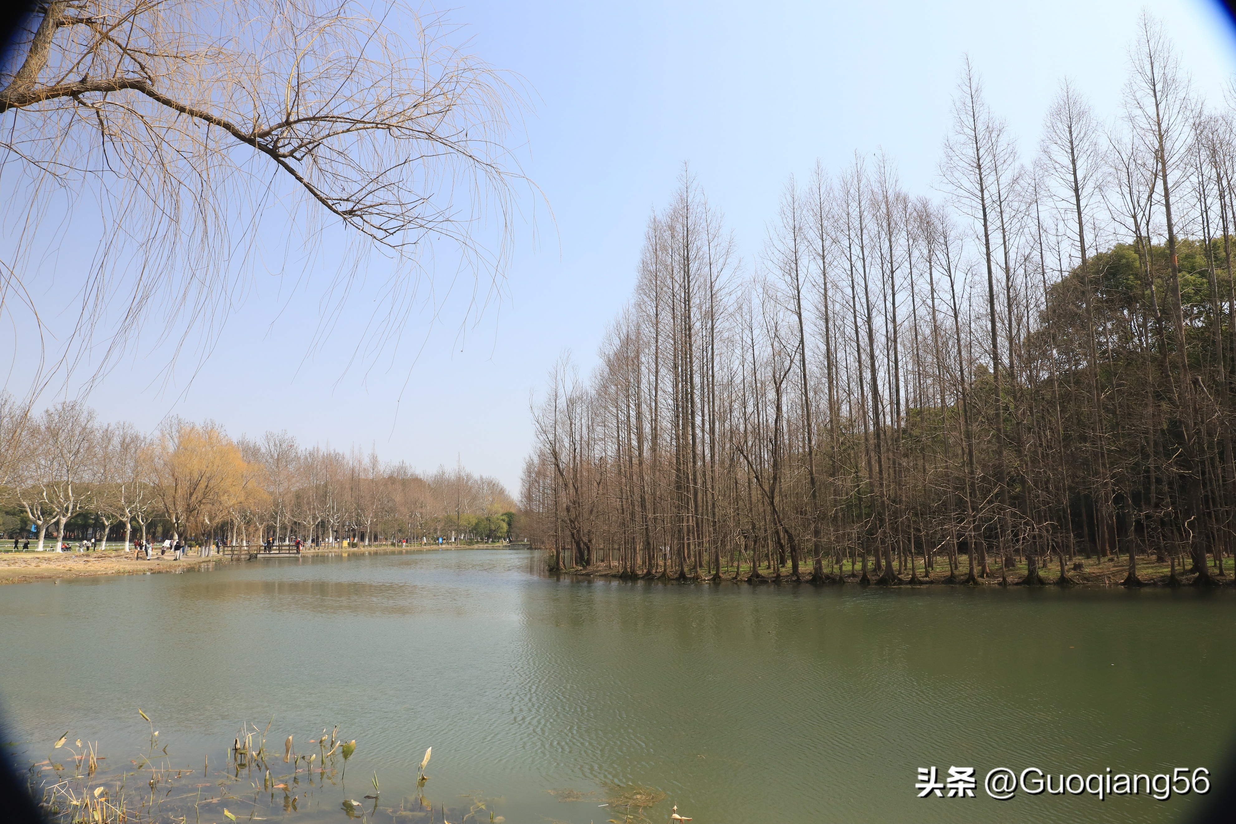 上海免费的公园有哪些,上海老年人免费公园