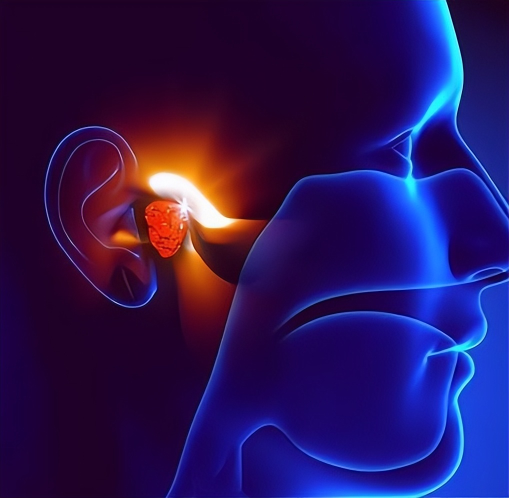 为什么我们听到自己的录音会难听,很多人听自己的录音觉得怪怪的