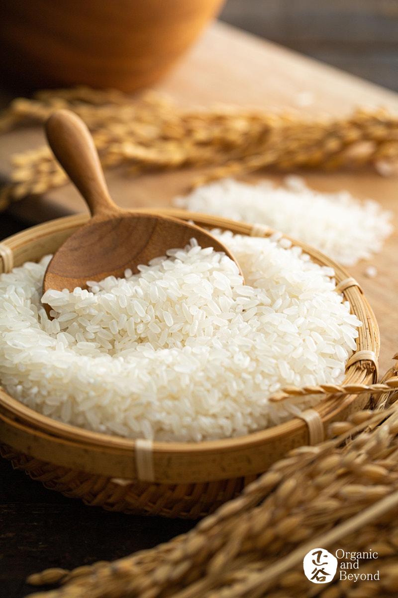 五常稻米原粮稻花香2号,原粮稻花香2号五常稻米