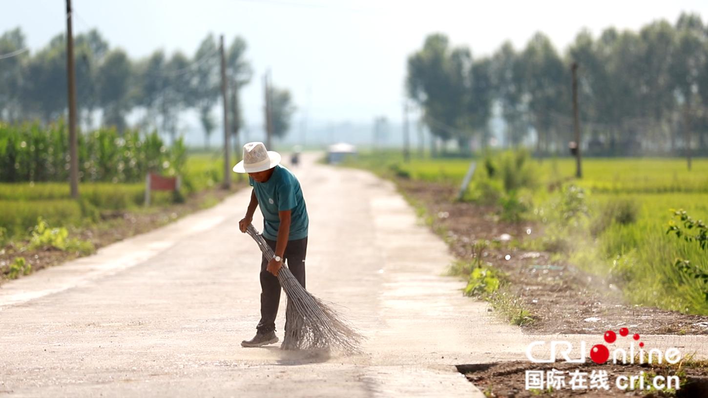 打通乡村振兴红色脉络,网格乡村振兴