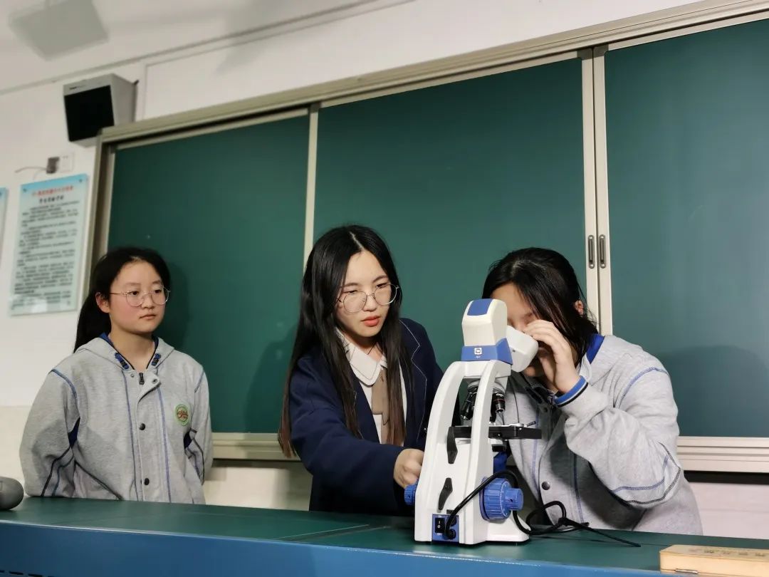 南京比较强的高中,南京厉害的高中