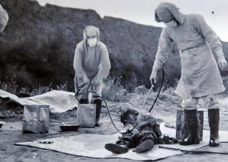 日本侵华老兵在黑龙江,2004年日本老兵到巴彦