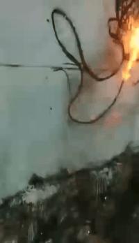 蜂花护发素搞笑视频,蜂花官方旗舰店搞笑评论