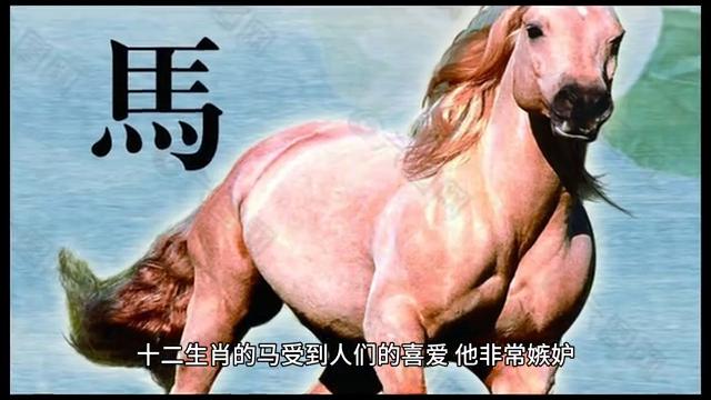 生肖鸡女人优点与缺点,生肖鸡的最大优点与最大缺点