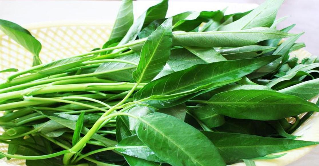 低热量高膳食纤维高钾的蔬菜,高纤维蔬菜可以让我们肠胃更健康