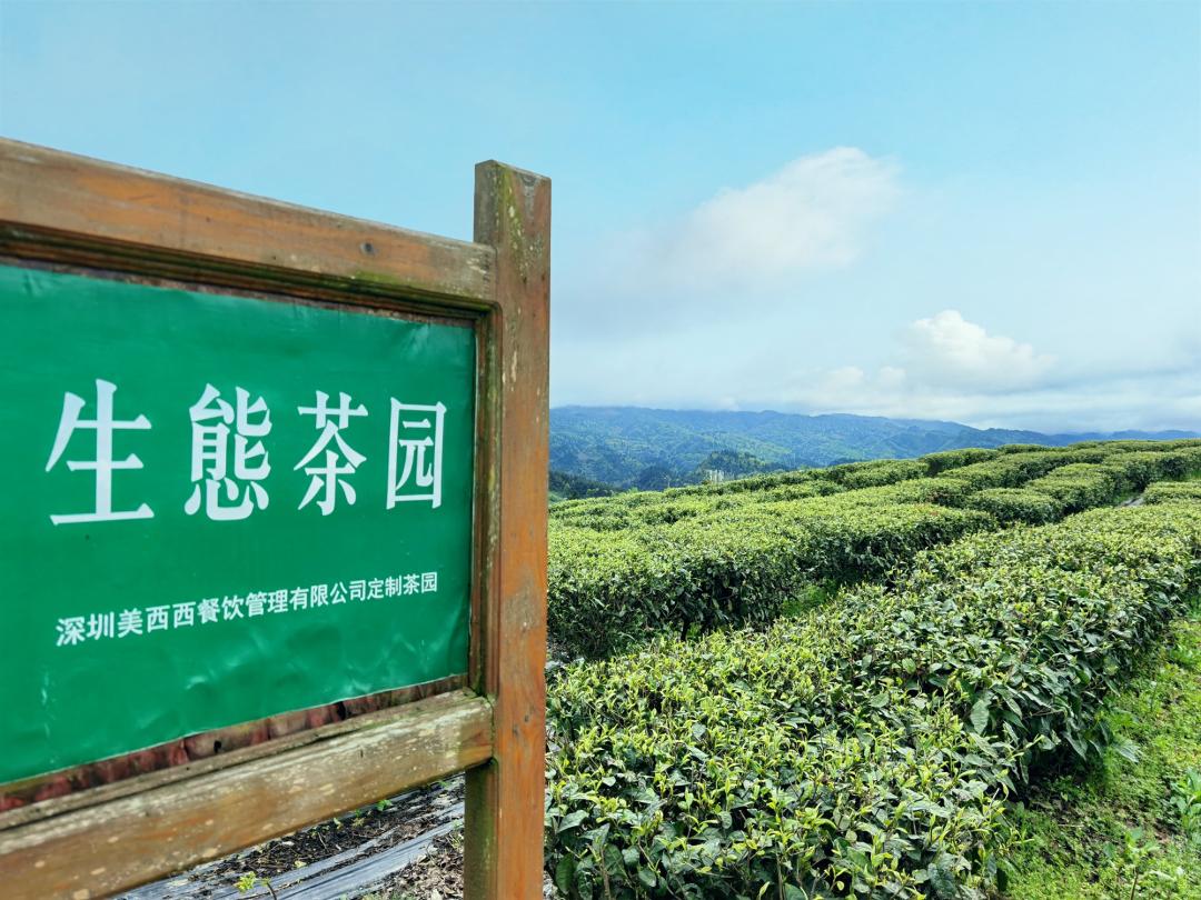 喜茶菜单价目表最全的在这里,喜茶菜单变了