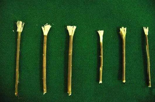 盐刷牙能消除口臭吗,古代怎么刷牙除口臭