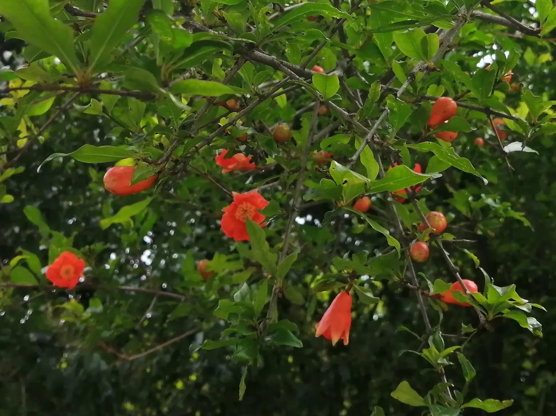 乳腺癌的姐妹们,乳腺癌的姐妹们你们忌口吗