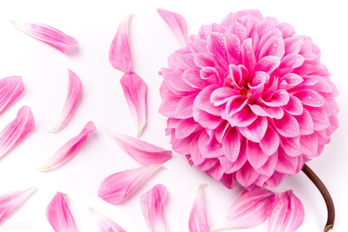 郭进栓汝州,郭进栓