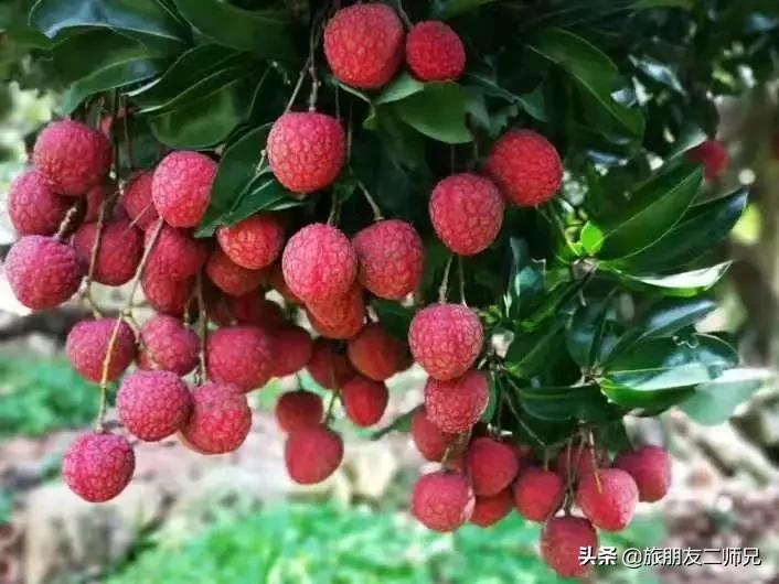 南平静修小镇凤溪玩水,南平静修小镇凤溪玩水区订票