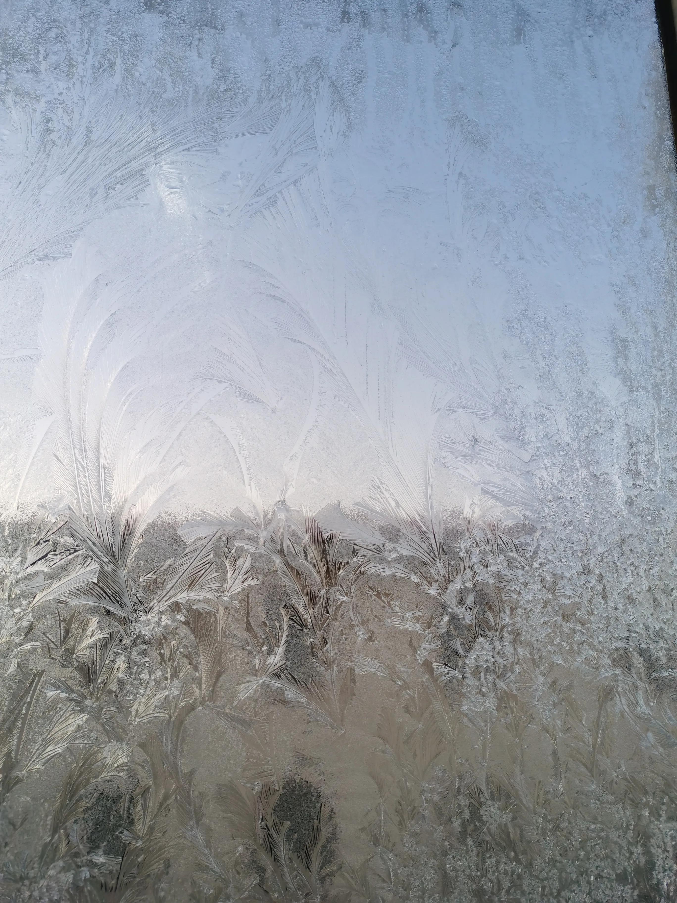 不用剪刀做出来的简单窗花,窗花有哪种常见制作方法