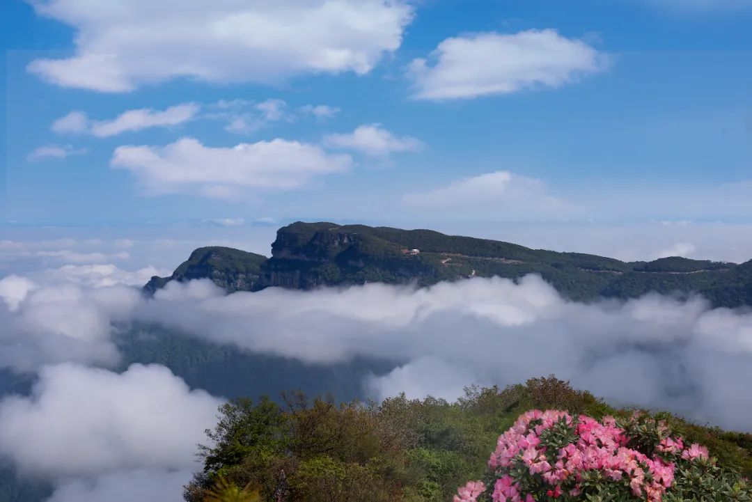 机票价格大跳水错峰出游正当时,错峰出游正当时旅游市场淡季不淡